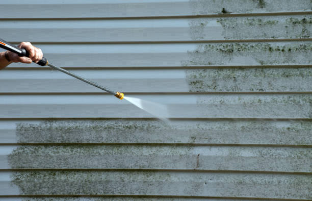Best Commercial Mold Removal  in Cleveland, GA
